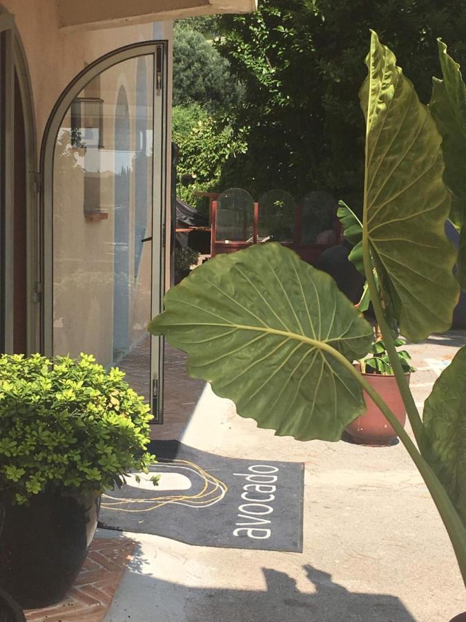 Avocado Restaurant Saint-Jeannet (Alpes-Maritimes)